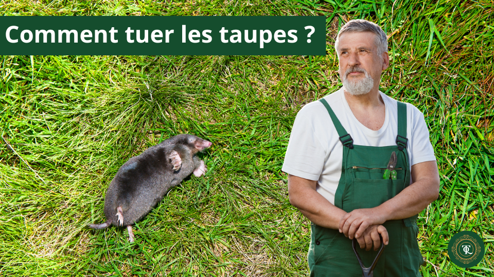 Comment tuer les taupes ? Détaupeur, piège à taupe, se débarrasser des taupes, faire fuir les taupes, solution anti-taupe.