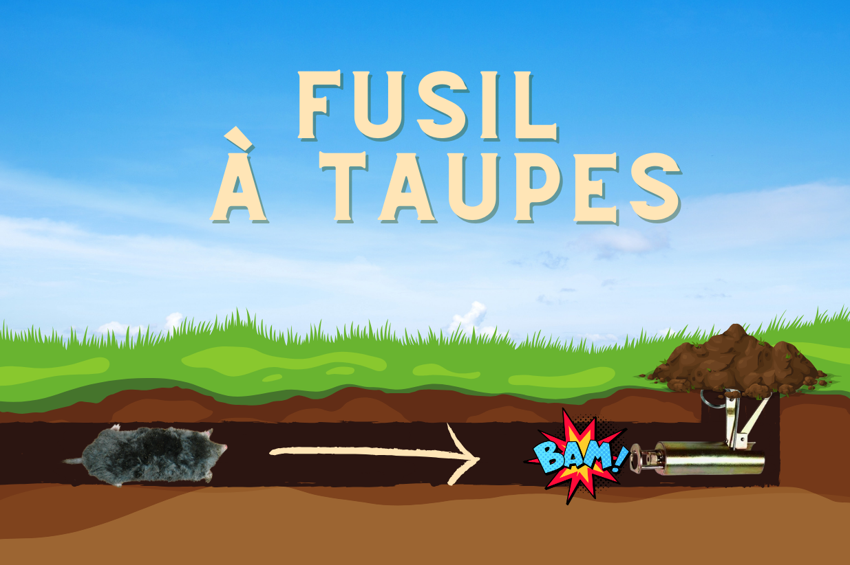 Fusil à taupes pour se débarrasser des taupes, détaupeur, quicktaupe, tuer les taupes, éliminer les taupes, faire partir les taupes, faire fuir les taupes, piège à taupe, anti-taupe, solution anti taupe.