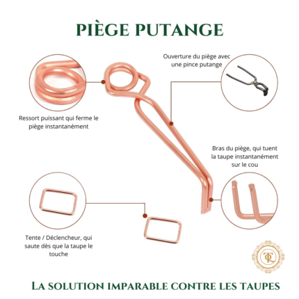 "Piège Putange pour se débarrasser des taupes et les éliminer, détaupeur, anti-taupe, piège à taupe efficace, solution anti-taupe Quicktaupe pour faire partir ou tuer les taupes."