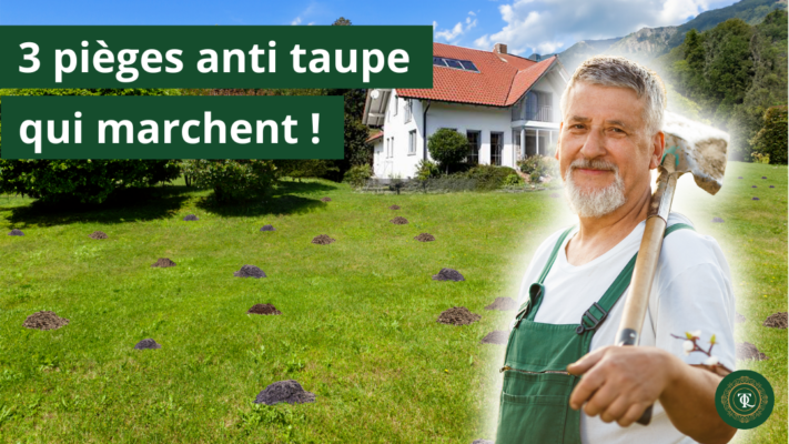 3 pièges anti-taupe qui marchent ! Homme avec une pelle devant une maison entourée de taupinières. Solutions pour éliminer, se débarrasser, faire partir ou tuer les taupes. Solutions anti-taupes, détaupeur, piège à taupe, anti-taupe.