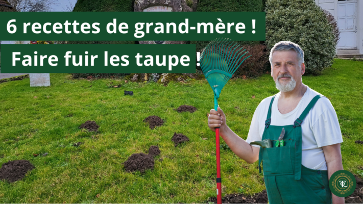 6 recettes de grand-mère ! Faire fuir les taupes ! Détaupeur, detaupeur, quicktaupe, se debarrasser des taupes, tuer les taupes, éliminer les taupes, faire partir les taupes, faire fuir les taupes, piège à taupe, anti-taupe, solution anti taupe.