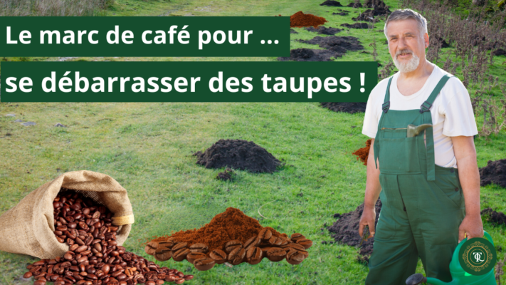 Le marc de café pour se débarrasser des taupes, image illustrant la lutte contre les taupes dans un jardin avec un sac de grains de café et un homme portant une salopette.