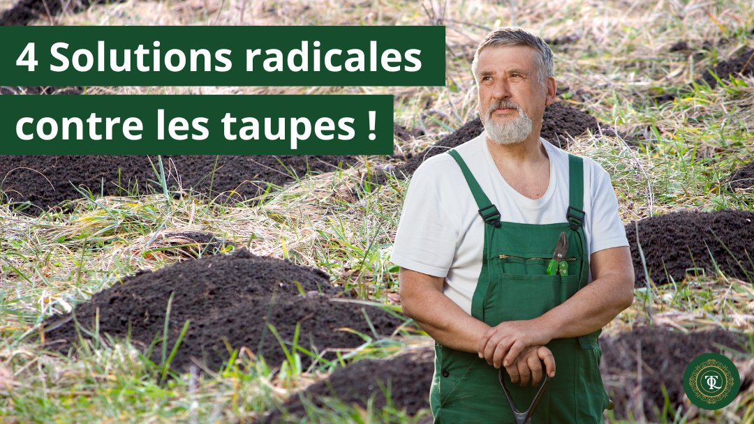 Image d'un homme en salopette verte avec la mention "4 Solutions radicales contre les taupes !" sur fond de taupinières, termes associés : détaupeur, detaupeur, quicktaupe, se debarrasser des taupes, tuer les taupes, éliminer les taupes, faire partir les taupes, faire fuir les taupes, piège à taupe, anti-taupe, solution anti taupe.