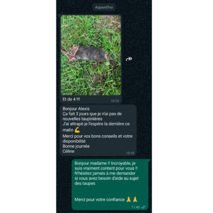 Capture d'écran d'une conversation WhatsApp où une personne partage une photo d'une taupe morte et remercie Alexis pour ses conseils.